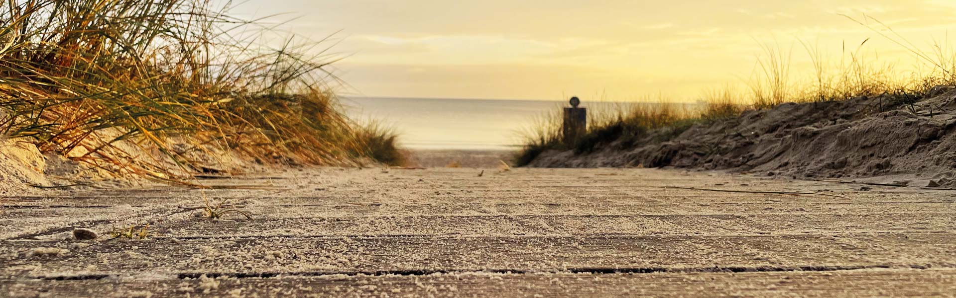 Ferienwohnungen auf Rügen